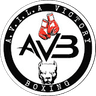 A.V.I.L.A Victory Boxing logo