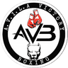 A.V.I.L.A Victory Boxing logo